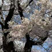 ヒメ日記 2026/03/28 12:33 投稿 智秋(ちあき) 相模原人妻城