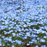 ヒメ日記 2026/04/15 09:00 投稿 あさひな★ 恵里亜(エリア)