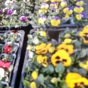 ヒメ日記 2026/03/11 16:05 投稿 かおり 熟女の風俗最終章 錦糸町店