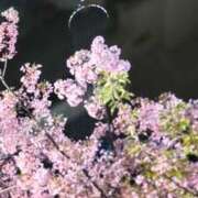 ヒメ日記 2026/03/12 16:15 投稿 かおり 熟女の風俗最終章 錦糸町店