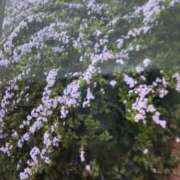 ヒメ日記 2026/03/29 19:20 投稿 かおり 熟女の風俗最終章 錦糸町店