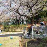 ヒメ日記 2026/03/30 11:35 投稿 かおり 熟女の風俗最終章 錦糸町店