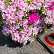 ヒメ日記 2026/04/16 14:05 投稿 かおり 熟女の風俗最終章 錦糸町店