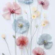 ヒメ日記 2026/03/11 08:06 投稿 美咲 おとなのわいせつ倶楽部 本厚木店