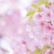 ヒメ日記 2026/03/23 19:26 投稿 美咲 おとなのわいせつ倶楽部 本厚木店