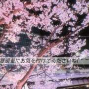 ヒメ日記 2026/03/23 19:56 投稿 美咲 おとなのわいせつ倶楽部 本厚木店