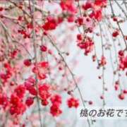 ヒメ日記 2026/03/24 07:36 投稿 美咲 おとなのわいせつ倶楽部 本厚木店