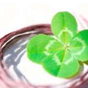 ヒメ日記 2026/03/26 14:46 投稿 美咲 おとなのわいせつ倶楽部 本厚木店