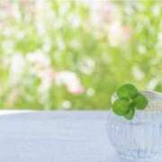 ヒメ日記 2026/03/26 15:06 投稿 美咲 おとなのわいせつ倶楽部 本厚木店