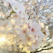 ヒメ日記 2026/04/05 22:36 投稿 美咲 おとなのわいせつ倶楽部 本厚木店