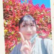 ヒメ日記 2026/04/08 16:36 投稿 美咲 おとなのわいせつ倶楽部 本厚木店