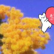 ヒメ日記 2026/04/09 12:06 投稿 美咲 おとなのわいせつ倶楽部 本厚木店