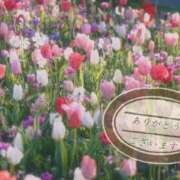 ヒメ日記 2026/04/09 13:06 投稿 美咲 おとなのわいせつ倶楽部 本厚木店