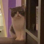 ヒメ日記 2026/03/20 09:19 投稿 れおか ミセスファースト 熊谷店 -お姉さん・若妻専門店-