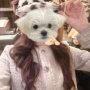 ヒメ日記 2026/03/05 22:44 投稿 桃井ひな ブルーバード