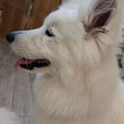 ヒメ日記 2026/03/23 15:13 投稿 あおば 奥様の実話 谷九店