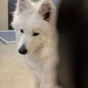 ヒメ日記 2026/03/24 22:43 投稿 あおば 奥様の実話 谷九店