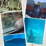 ヒメ日記 2026/05/07 22:58 投稿 あおば 奥様の実話 谷九店