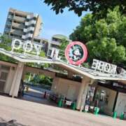 ヒメ日記 2026/07/09 18:06 投稿 あおば 奥様の実話 谷九店