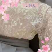 しおん 本日から〜 完熟ばなな 上野店