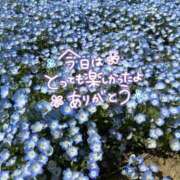 ヒメ日記 2026/03/17 01:05 投稿 なつみ 茨城水戸ちゃんこ