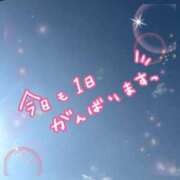 ヒメ日記 2026/03/17 14:25 投稿 なつみ 茨城水戸ちゃんこ