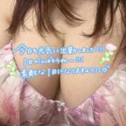 ヒメ日記 2026/03/25 12:05 投稿 なつみ 茨城水戸ちゃんこ