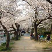 ヒメ日記 2026/03/30 13:35 投稿 なつみ 茨城水戸ちゃんこ