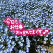 ヒメ日記 2026/04/05 19:55 投稿 なつみ 茨城水戸ちゃんこ