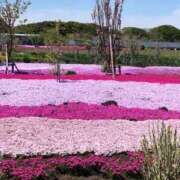 ヒメ日記 2026/04/20 15:25 投稿 なつみ 茨城水戸ちゃんこ