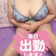 ヒメ日記 2026/06/09 12:15 投稿 なつみ 茨城水戸ちゃんこ