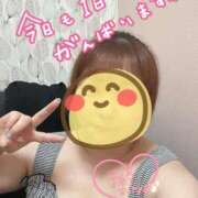 ヒメ日記 2026/07/29 12:13 投稿 なつみ 茨城水戸ちゃんこ
