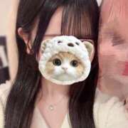 ヒメ日記 2026/04/03 00:39 投稿 恋川みるき 池袋パラダイス