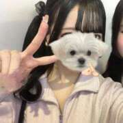 ヒメ日記 2026/04/17 15:42 投稿 恋川みるき 池袋パラダイス