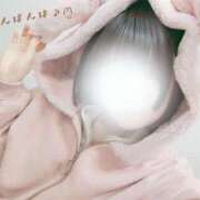 ヒメ日記 2026/03/19 21:28 投稿 弥生ゆる プラチナアロマ川越