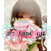 ヒメ日記 2026/03/08 08:57 投稿 あかね One More 奥様　五反田店