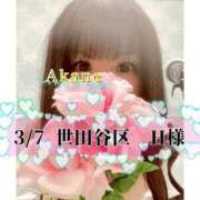 ヒメ日記 2026/03/08 12:47 投稿 あかね One More 奥様　五反田店