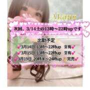 ヒメ日記 2026/03/13 15:37 投稿 あかね One More 奥様　五反田店