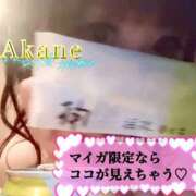 ヒメ日記 2026/03/14 19:37 投稿 あかね One More 奥様　五反田店