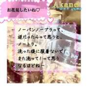 ヒメ日記 2026/03/15 14:19 投稿 あかね One More 奥様　五反田店