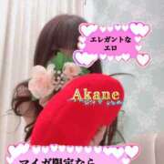 ヒメ日記 2026/03/15 16:37 投稿 あかね One More 奥様　五反田店