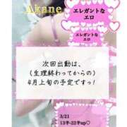 ヒメ日記 2026/03/21 18:47 投稿 あかね One More 奥様　五反田店