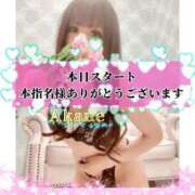 ヒメ日記 2026/04/11 14:07 投稿 あかね One More 奥様　五反田店