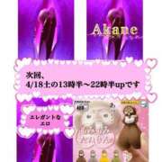 ヒメ日記 2026/04/12 17:17 投稿 あかね One More 奥様　五反田店