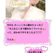 あかね ✨またね✨ One More 奥様　五反田店