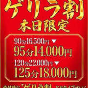 あかね 不在✨あかねは今日はいませんが✨ One More 奥様　五反田店