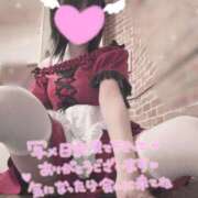 ヒメ日記 2026/04/04 19:24 投稿 坂口みさき メイドin中野（東京ハレ系）