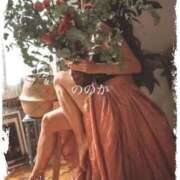 ヒメ日記 2026/04/23 13:05 投稿 崎間ののか コウテイ