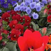 ヒメ日記 2026/03/13 18:36 投稿 桐嶋 優希 福岡 大人女子のちょっとHな専門店