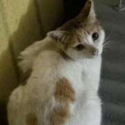 ヒメ日記 2026/03/08 16:38 投稿 ☆いおり☆ ◆プラウディア◆AAA級素人娘在籍店